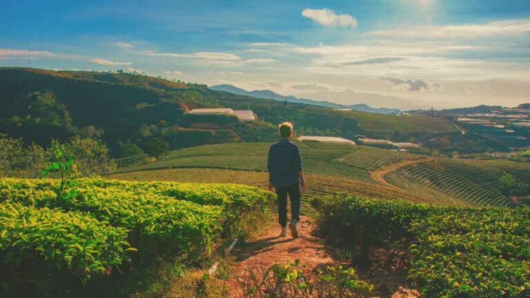 Leia mais sobre o artigo A impenhorabilidade da pequena propriedade rural: o novo entendimento do STJ